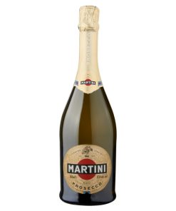 Fles Martini Prosecco D.O.C. 75cl – elegante Italiaanse mousserende wijn in stijlvolle fles, perfect gekoeld te serveren.