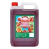 Raak Framboos Limonadesiroop 5 Liter – grote jerrycan voor horeca