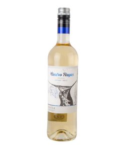Cuatro Rayas Organic Sauvignon Blanc, BIO Witte Wijn 75cl Spanje Doos 6 Flessen (5,55 pst)